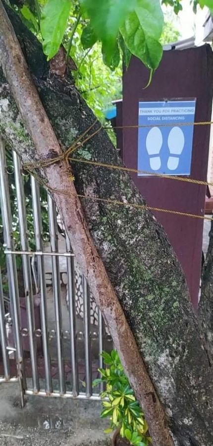 Melronz Inn Oslob Dış mekan fotoğraf